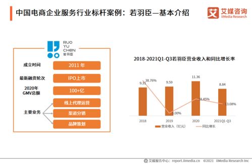 2021年中国电商领域信息技术咨询服务行业洞察 机遇、挑战与未来趋势
